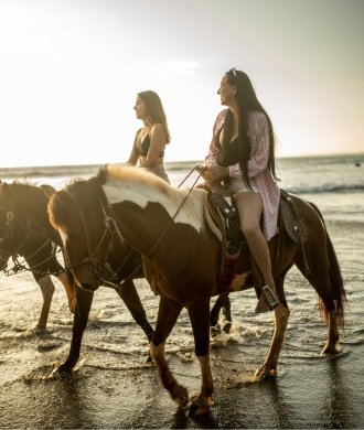 Horse Diving Zakynthos